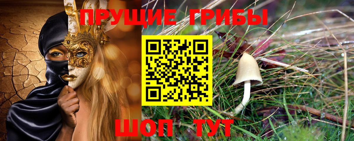 Галлюциногенные грибы Psilocybe  Вход с VPN  дарнет шоп  Галлюциногенные грибы Magic Shrooms  Белебей 