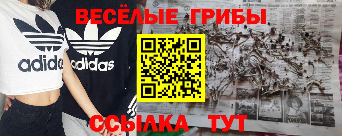 Галлюциногенные грибы Белебей